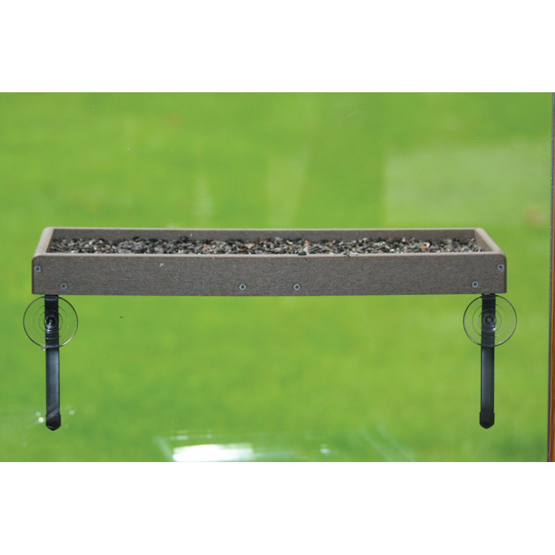 Birds Choice Recycled Window Mount Platform Tray Bird Feeder Wayfair