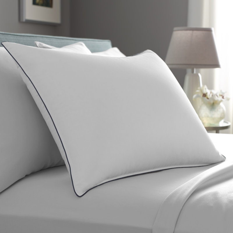 Pacific Coast Feather Allerrest Double Medium Down And Feathers Bed Pillow Wayfair