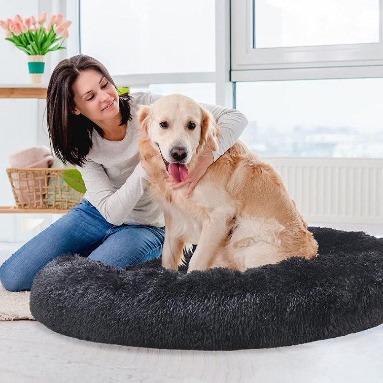 medium dog bed size