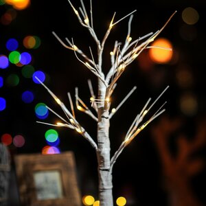 LED White Birch Light