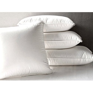Feather and Down Pillow by Alwyn Home