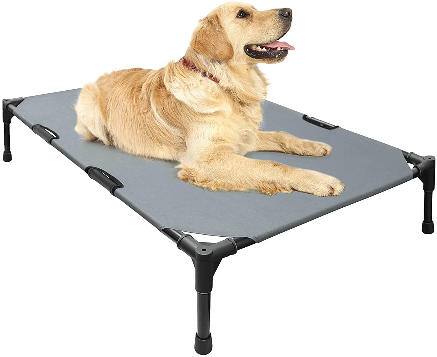 high raised dog bed