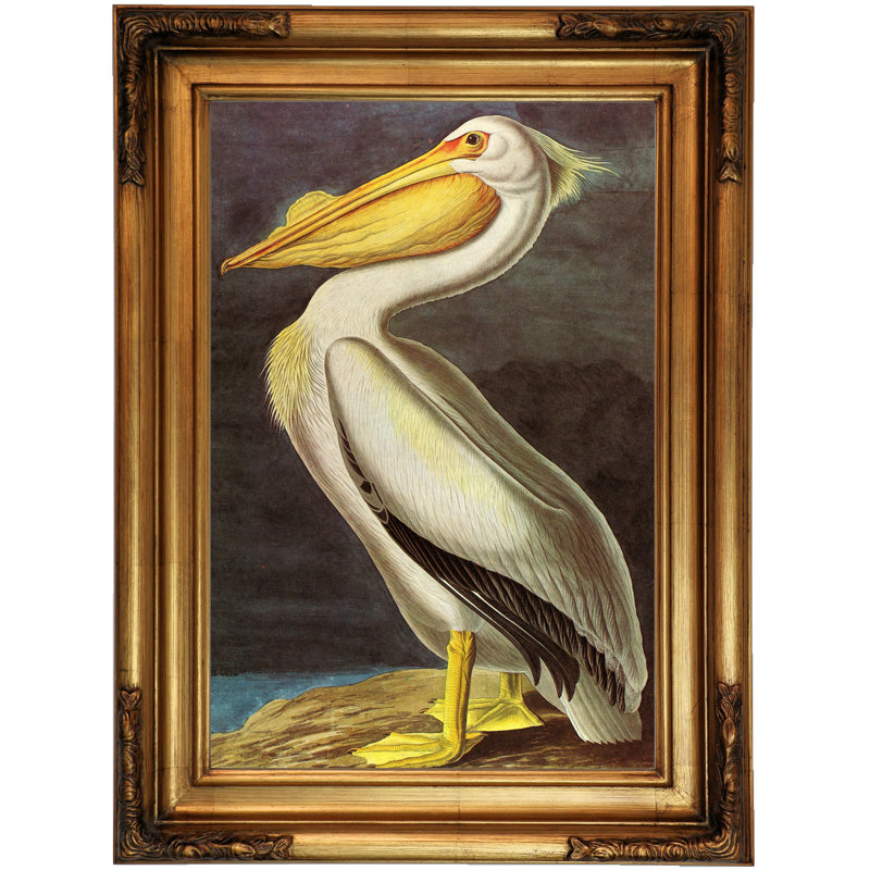 Astoria Grand White Pelican Framed Oil Painting Print On Canvas