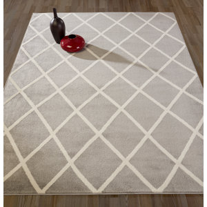 Kester Moroccan Trellis Gray/Ivory Area Rug