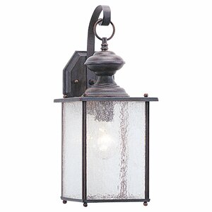 Noblestown 1-Light Outdoor Wall Lantern