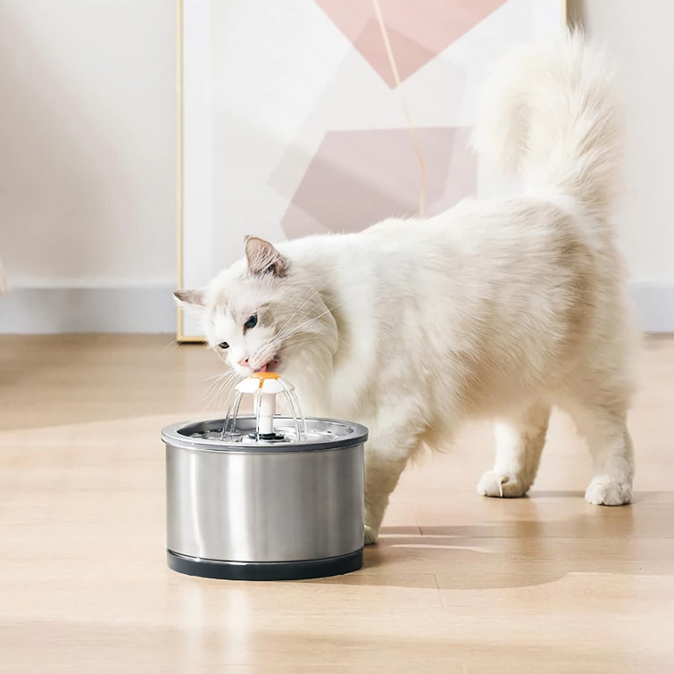 water dispenser for cats
