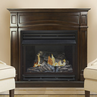 Vented Propane Fireplace Wayfair