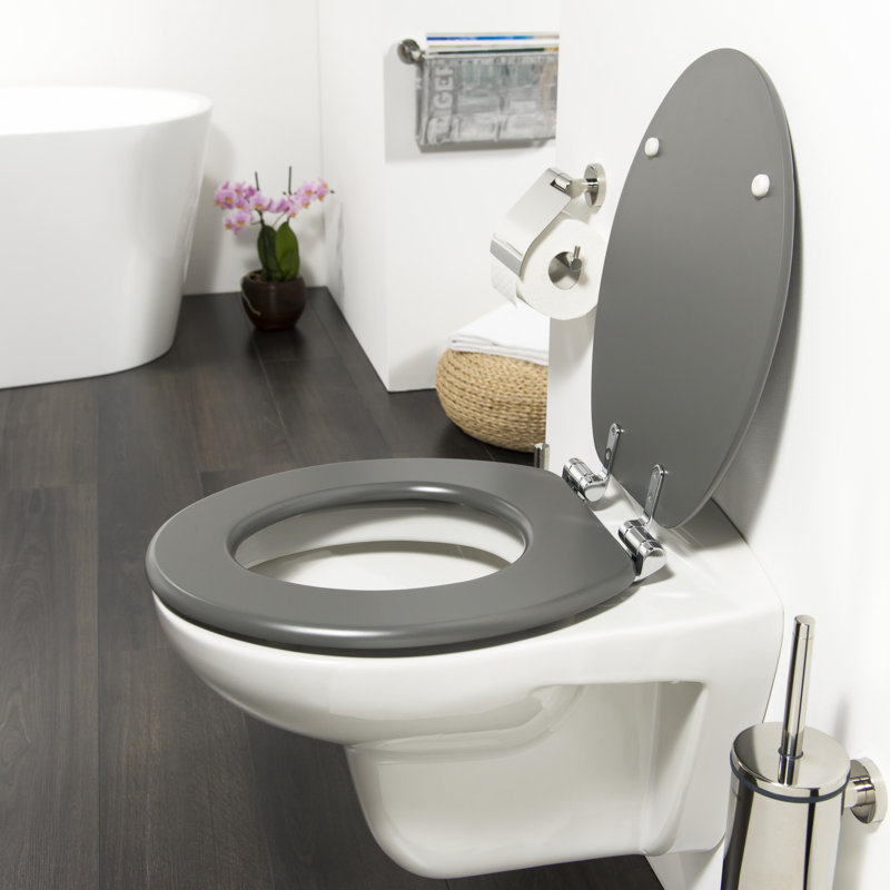 Symple Stuff Baya Round Toilet Seat Reviews Wayfair Co Uk