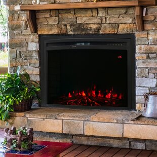 24 X 18 Fireplace Insert Wayfair