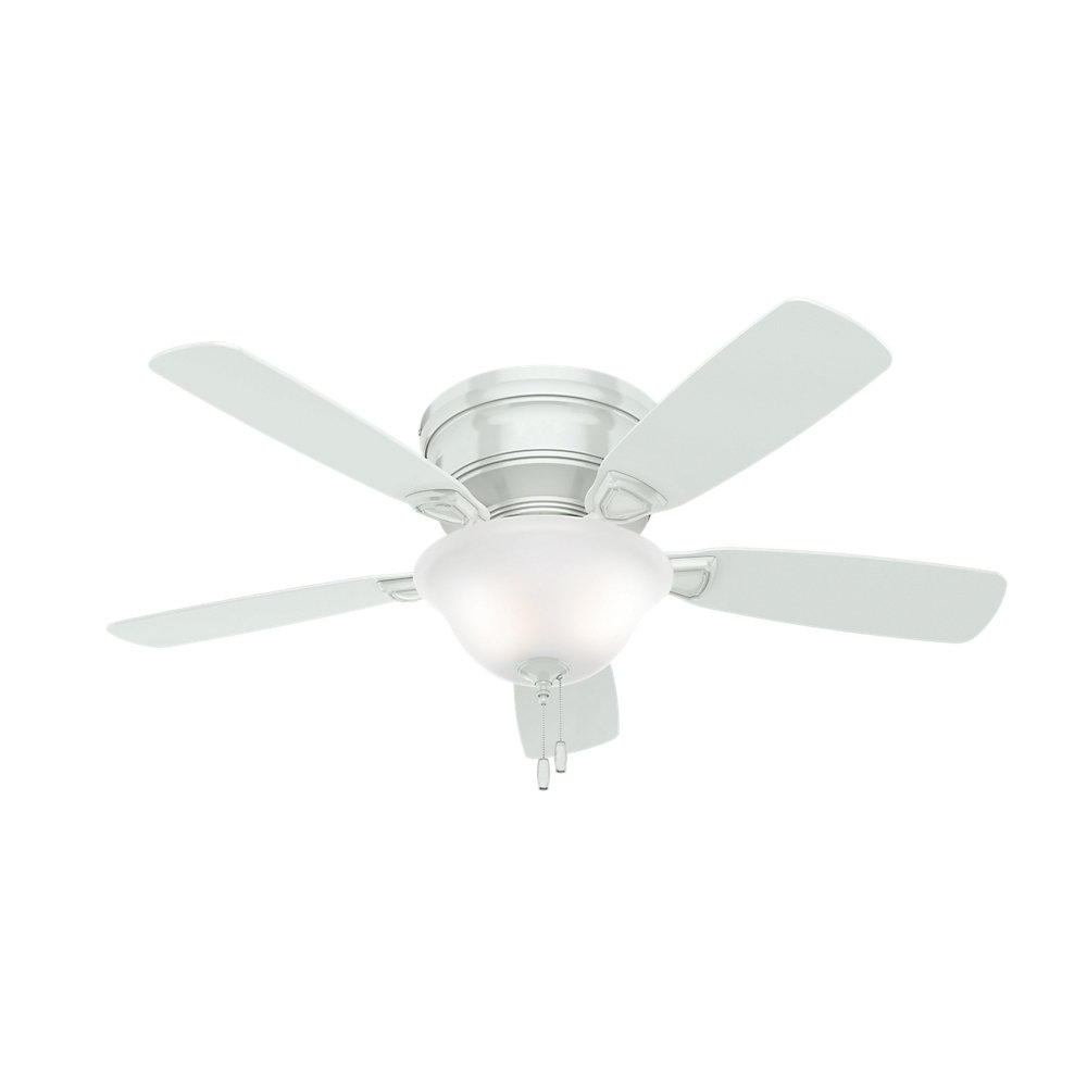 Hunter Fan 48 Low Profile 5 Blade Ceiling Fan Light Kit Included