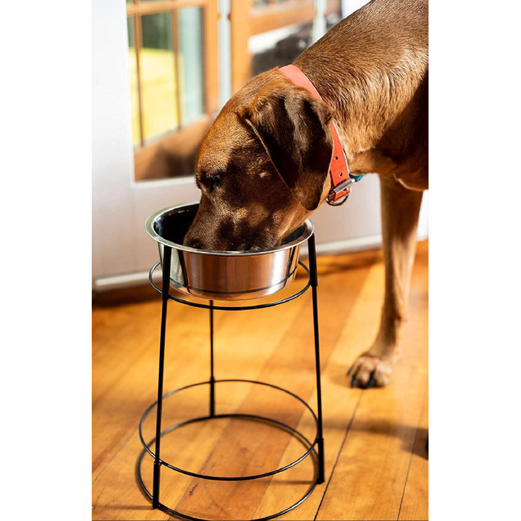 stand up dog feeder