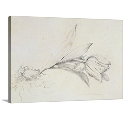 'Tulip' by Albert Williams Painting Print August Grove® Format: Canvas, Size: 32