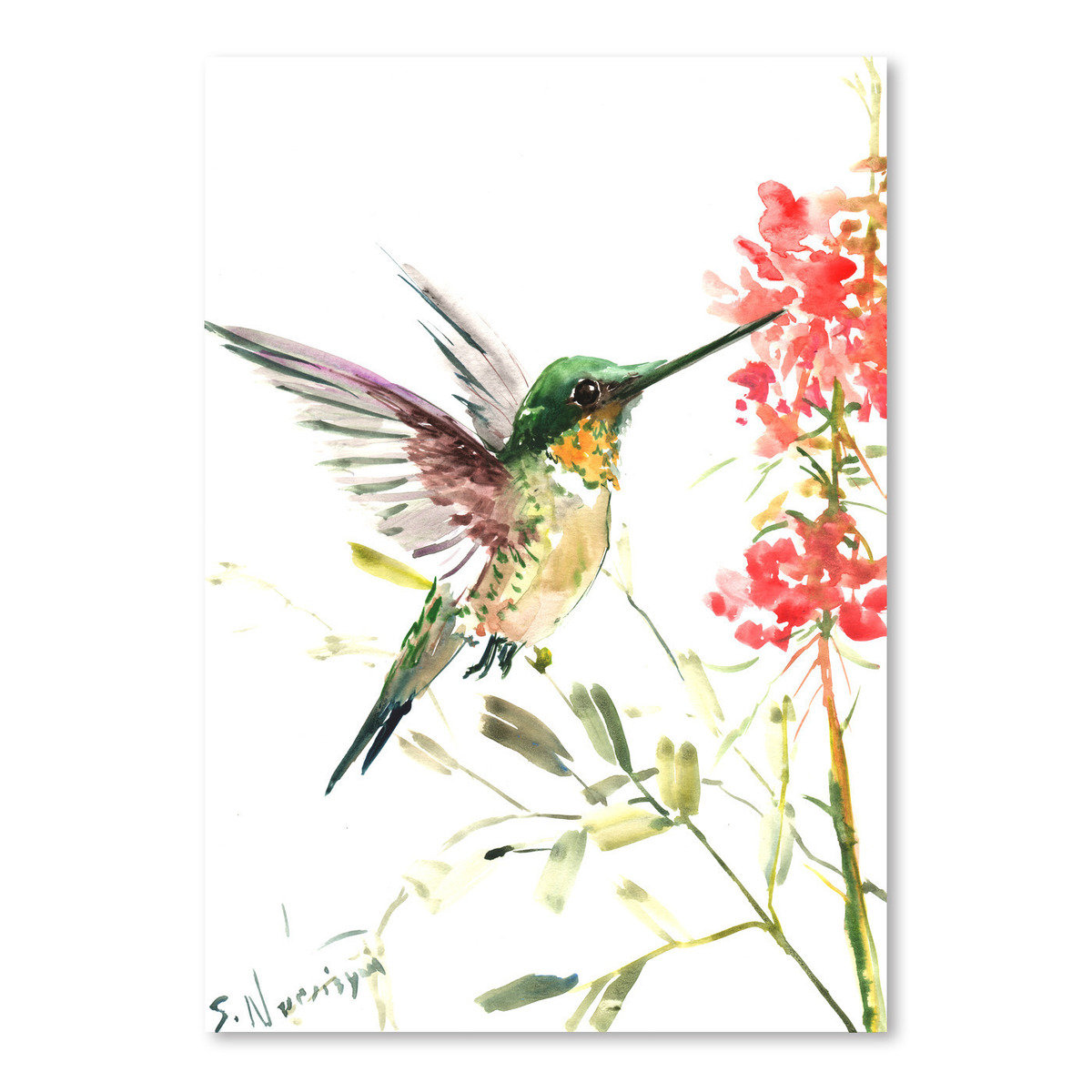 Gracie Oaks Hummingbird 5 By Suren Nersisyan Painting Print Wayfair
