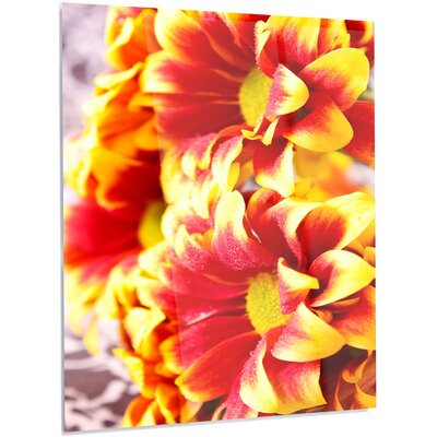 Floral 'Red Yellow Flower Background' Photographic Print on Metal DesignArt Size: 40