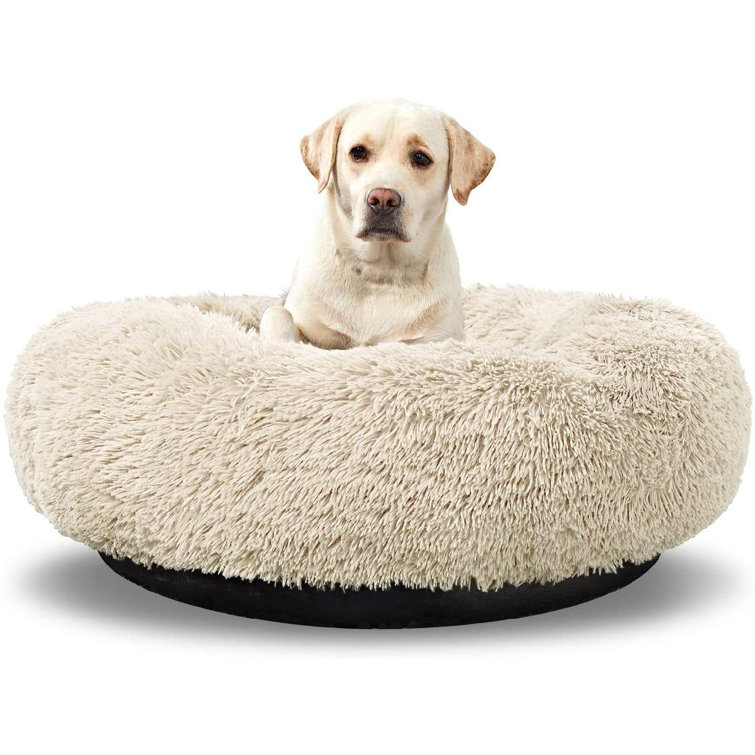 comfy pet donut bed