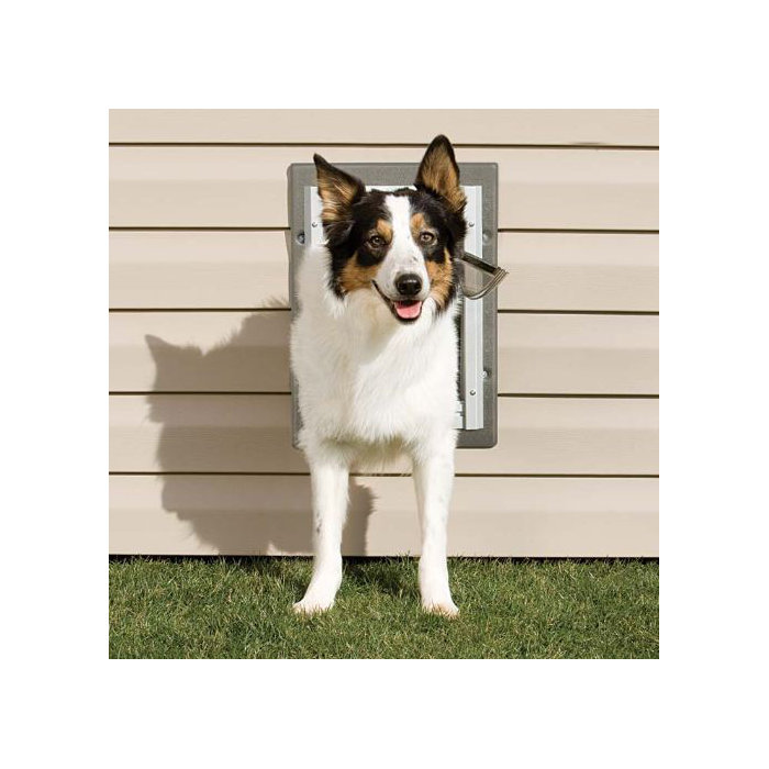 Petsafe Wall Entry Pet Door Reviews Wayfair Ca