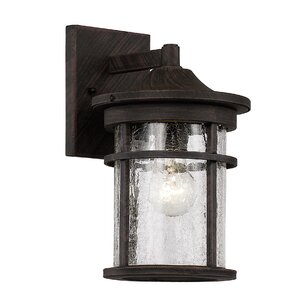 Ilene 1-Light Outdoor Wall Lantern