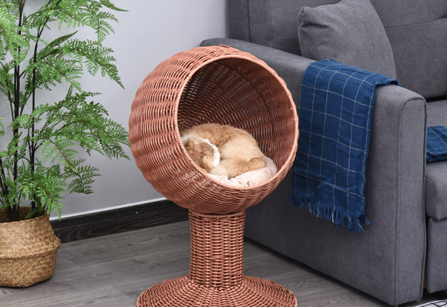 Top-Rated Cat Beds