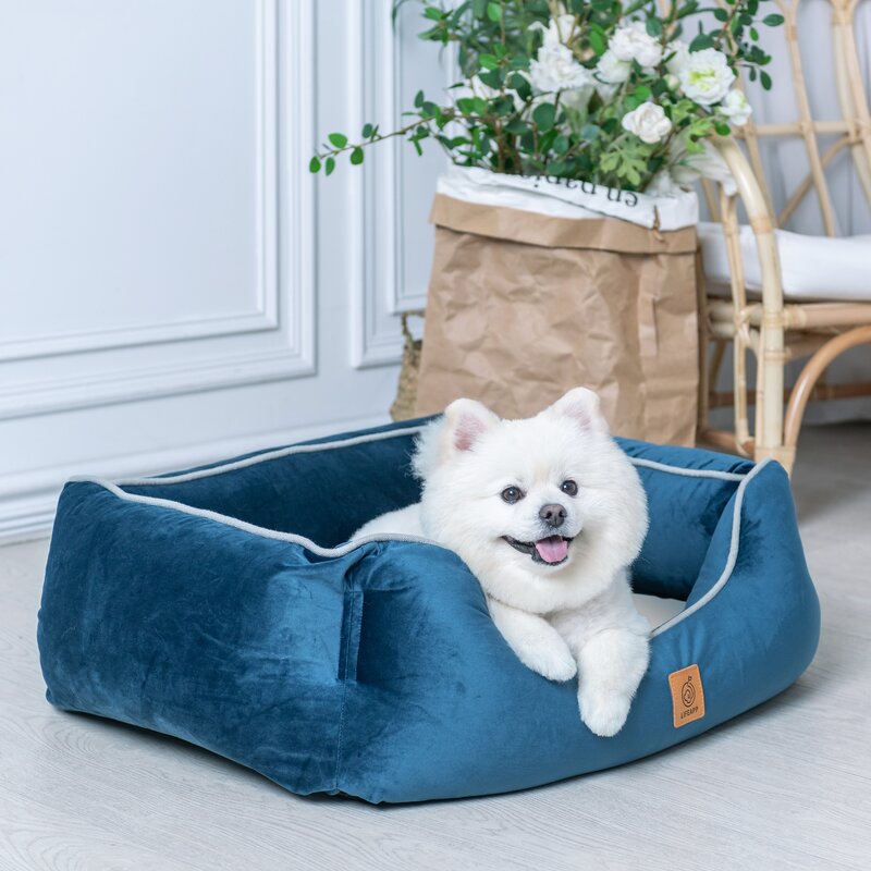 PUP PUP Heavenly Orthopedic Dog Bolster & Reviews | Wayfair