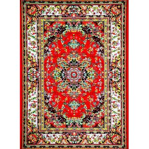 Dunlap Red Indoor/Outdoor Area Rug