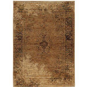 Rosalia Distressed Brown Area Rug