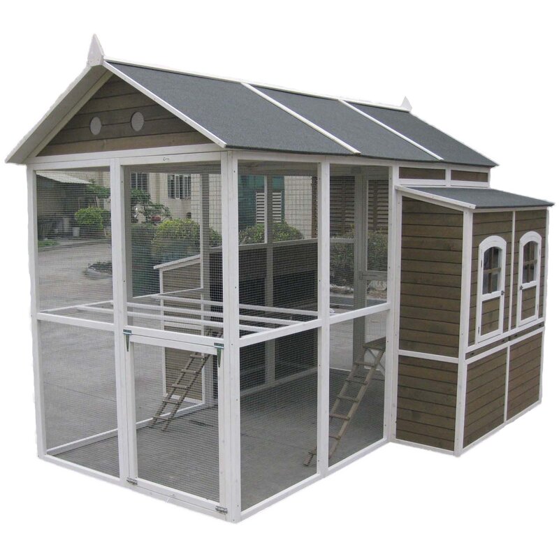 Coops Feathers Chicken Coop With Chicken Run