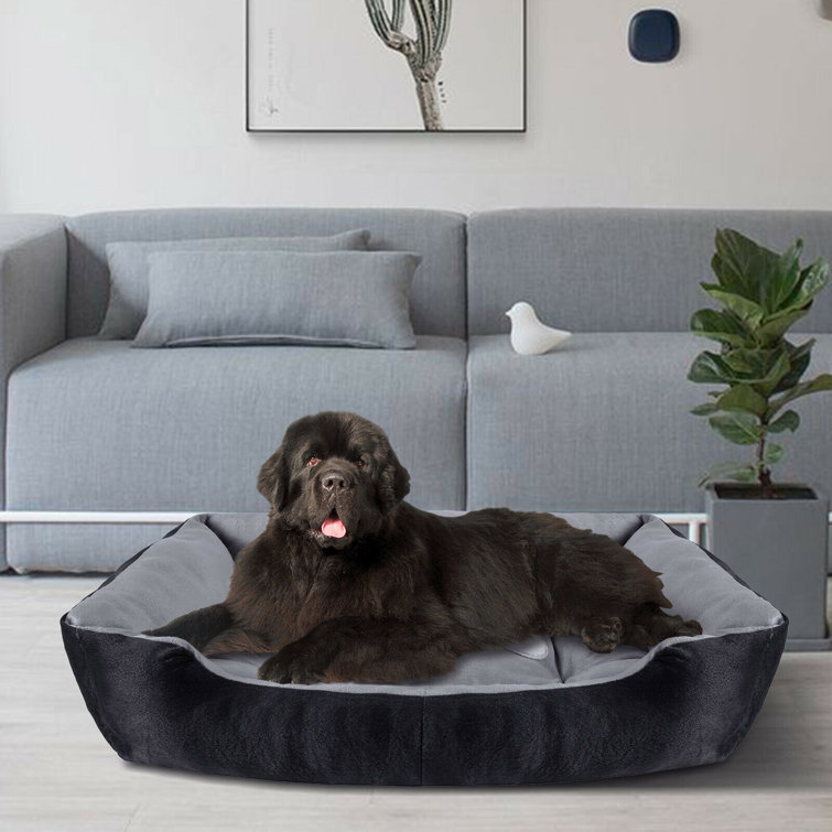 washable dog bed filling