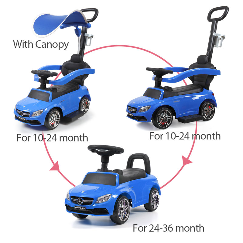 push car with canopy