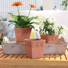 Vase Planter Quadra Square Terracotta Color with and without Plant Trivet 22 x 22 cm 