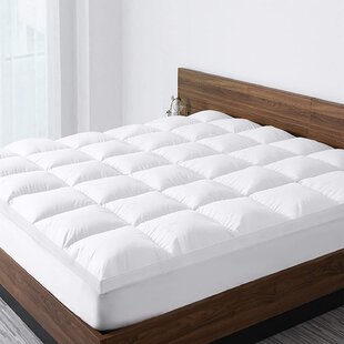 wayfair short queen mattress