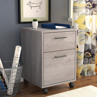 Go to store & view more images Beachcrest Home Oridatown 2-Drawer Mobile Vertical Filing Cabinet