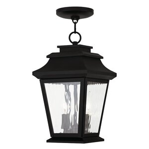 Campfield 2-Light Outdoor Hanging Lantern