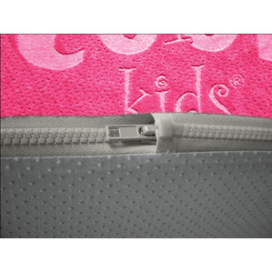 Begonia Visco Memory Foam Standard Pillow by Hokku Designs