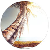 Coconut Tree Wall Art Wayfair