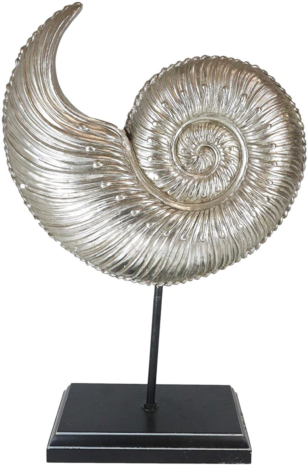 Rosecliff Heights Spiral Nautilus Shell Figurine Wayfair