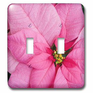 nursery light switch cover