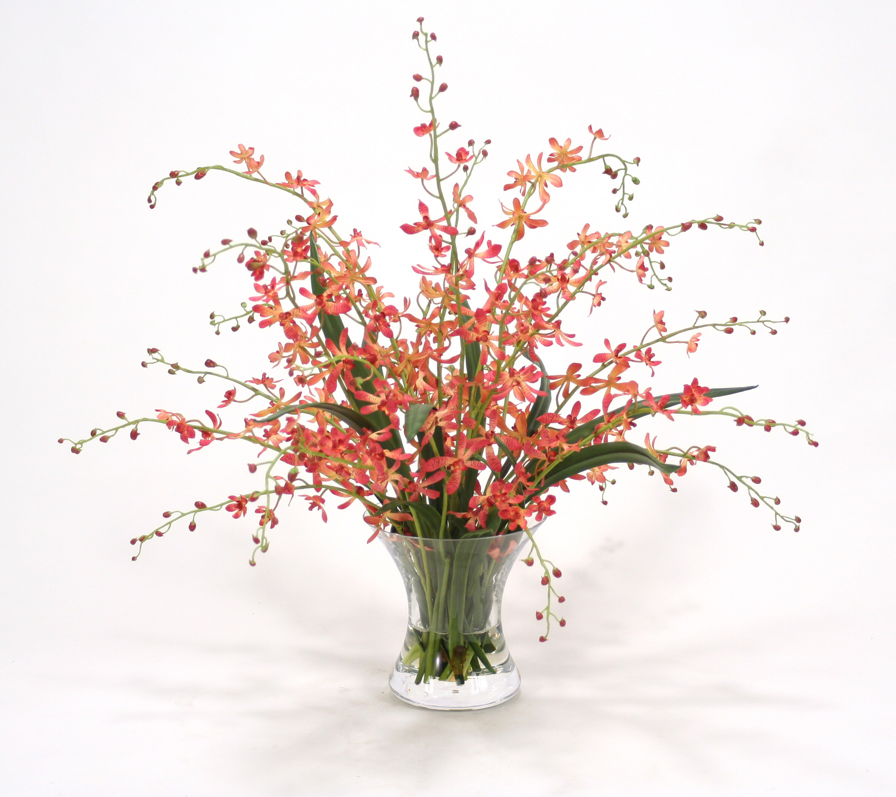 Red Barrel Studio Coral Vanda Orchids Floral Arrangement In