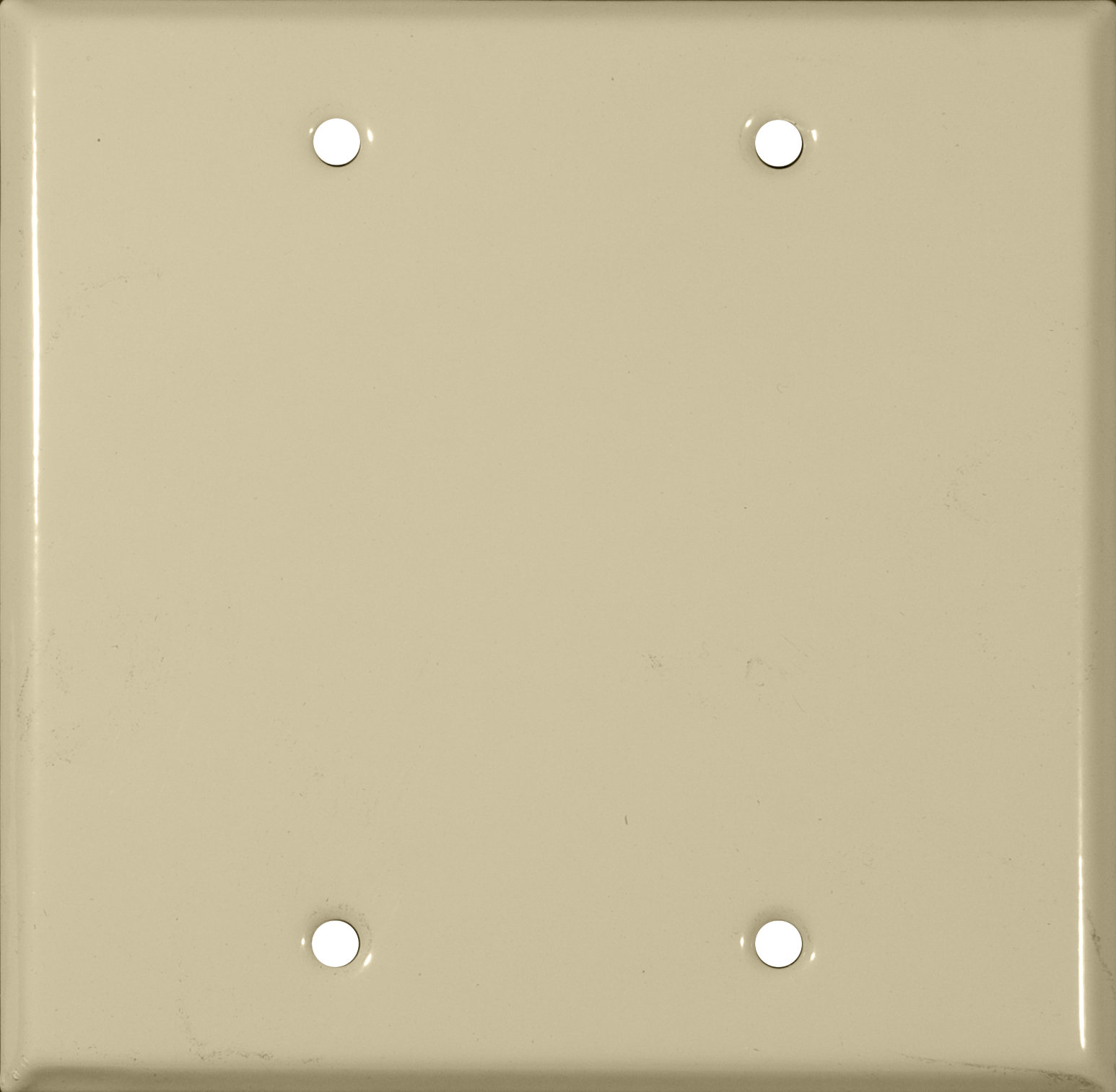Morris Products Blank Wall Plate Wayfair