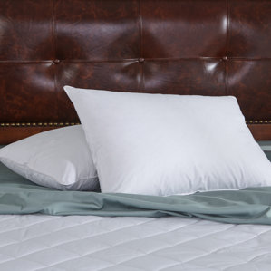 Feather Pillow (Set of 2) by Puredown