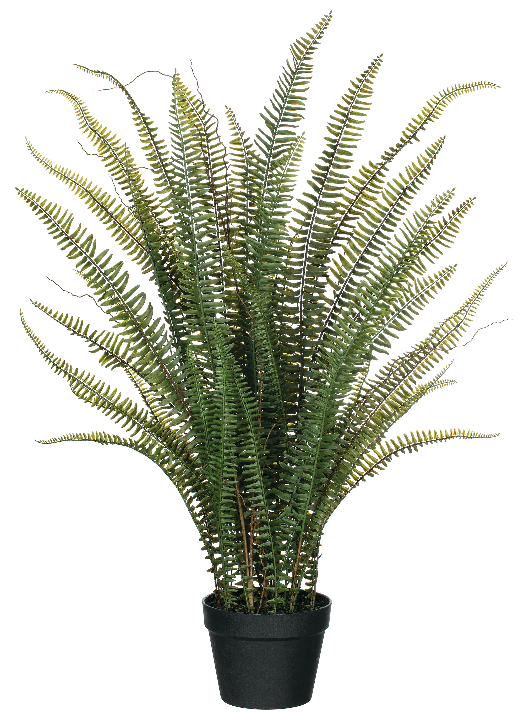 Charlton Home® 38'' Faux Fern Plant in Pot & Reviews Wayfair