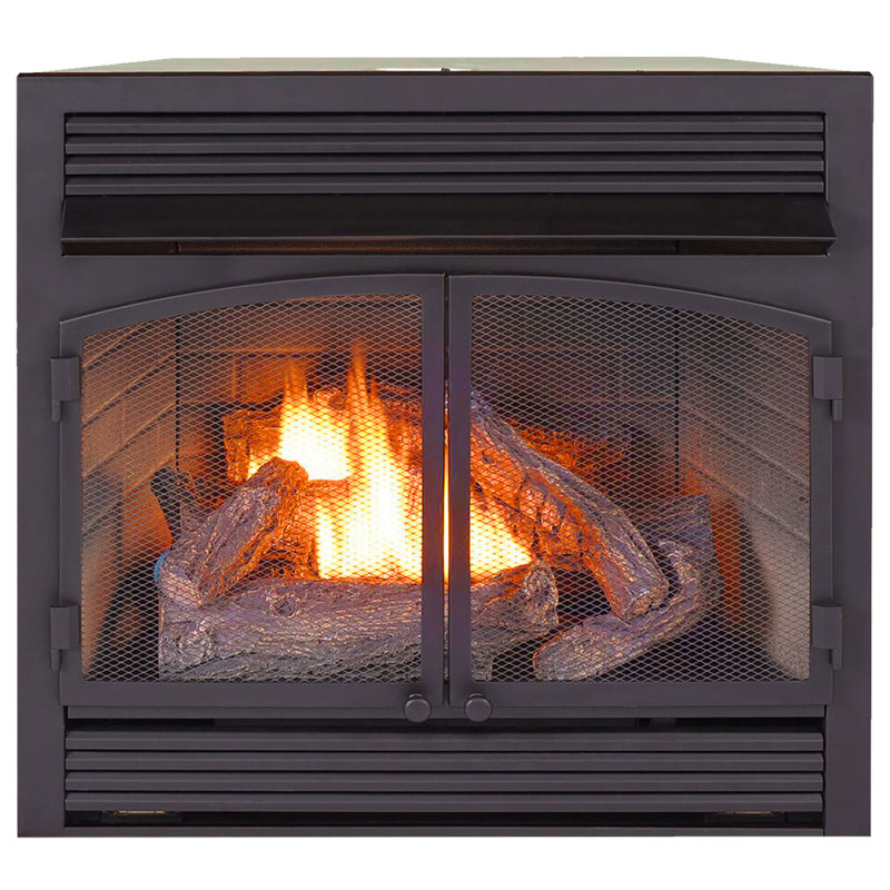 Procom Heating Vent Free Propane Natural Gas Fireplace Insert Wayfair