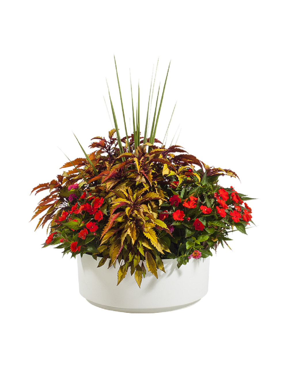 wayfair standing planter on Charlton Home Barcus Recycled Plastic Pot Planter Reviews Wayfair