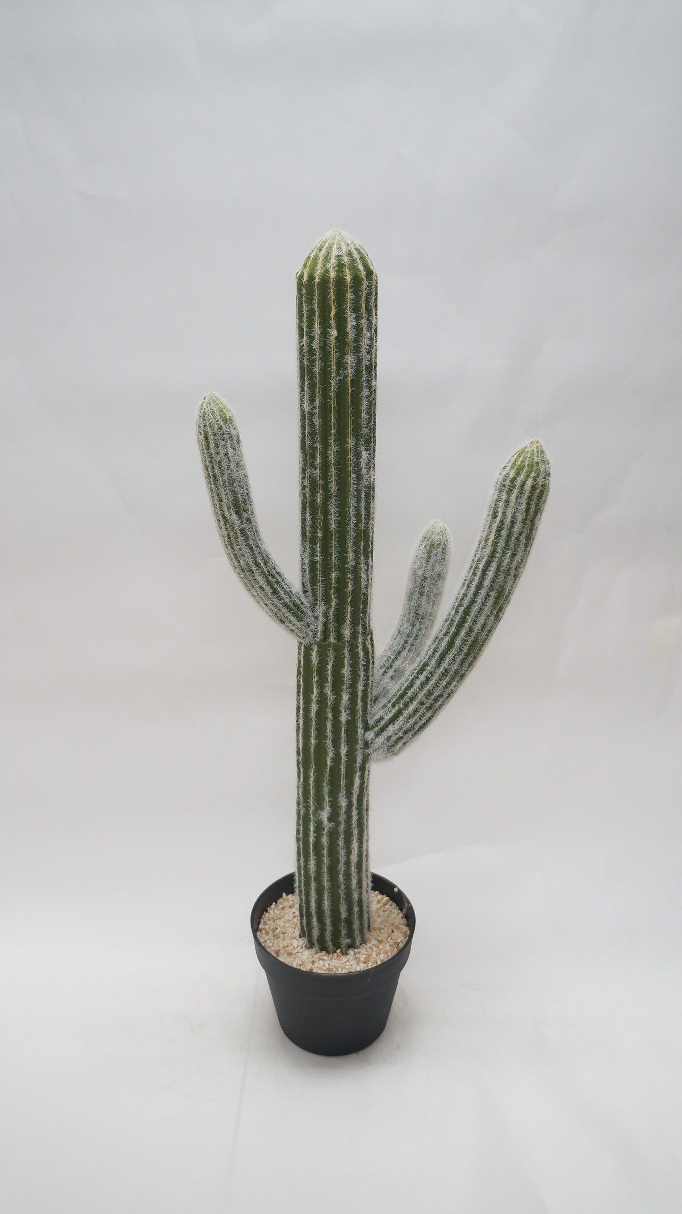 Faux Cactus Plant Home Ideas Bidkhome Cereus Cactus Faux Plant In Pot Reviews Wayfair