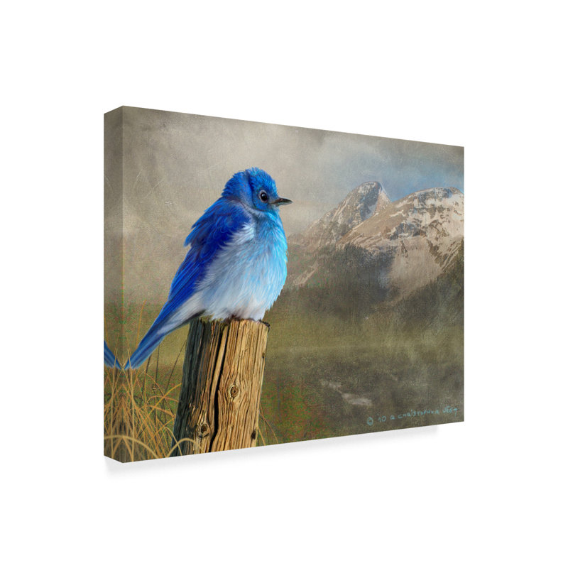 Millwood Pines Mountain Blue Birds Acrylic Painting Print On