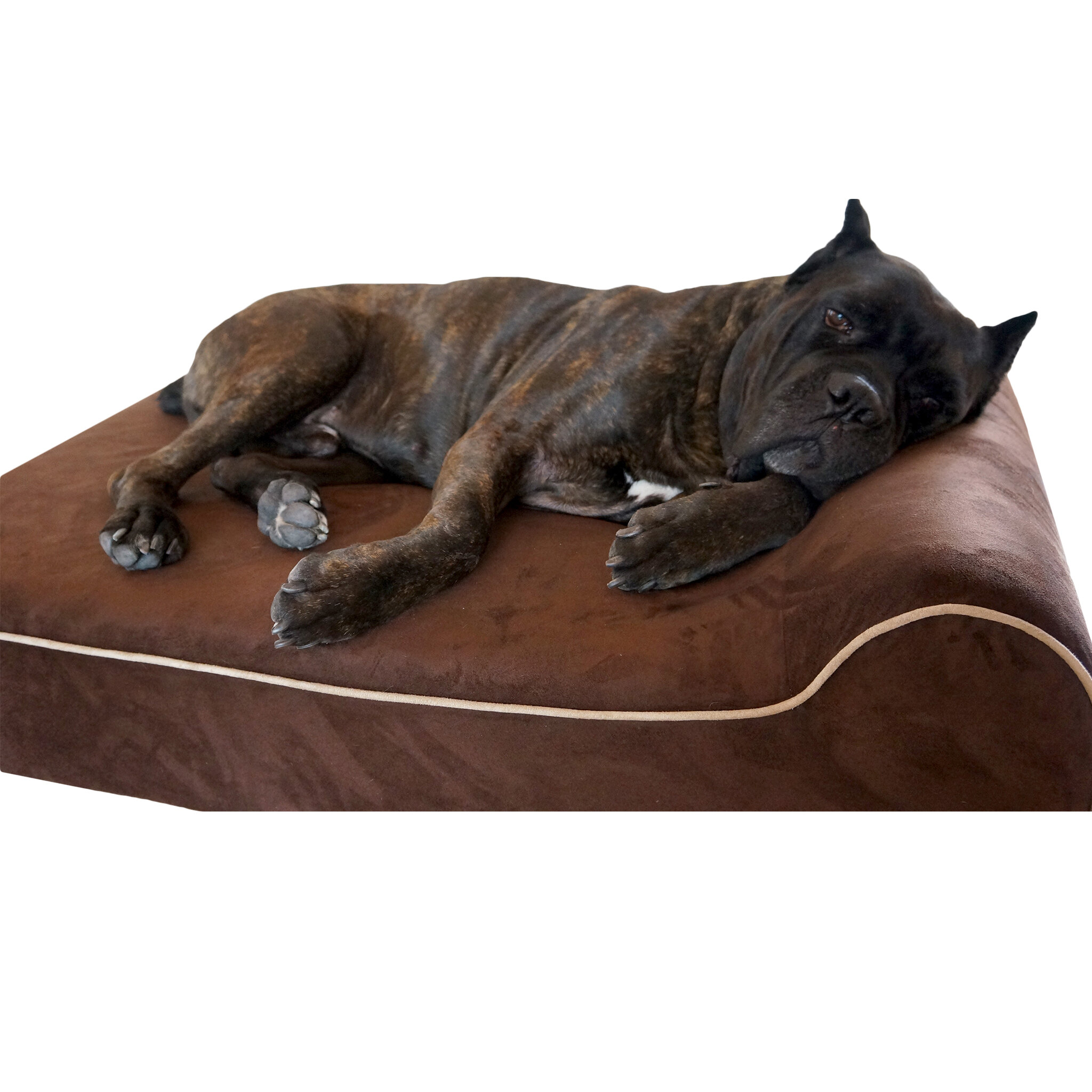 waterproof bolster dog bed