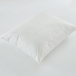 Cotton Pillow Cover by Alwyn Home