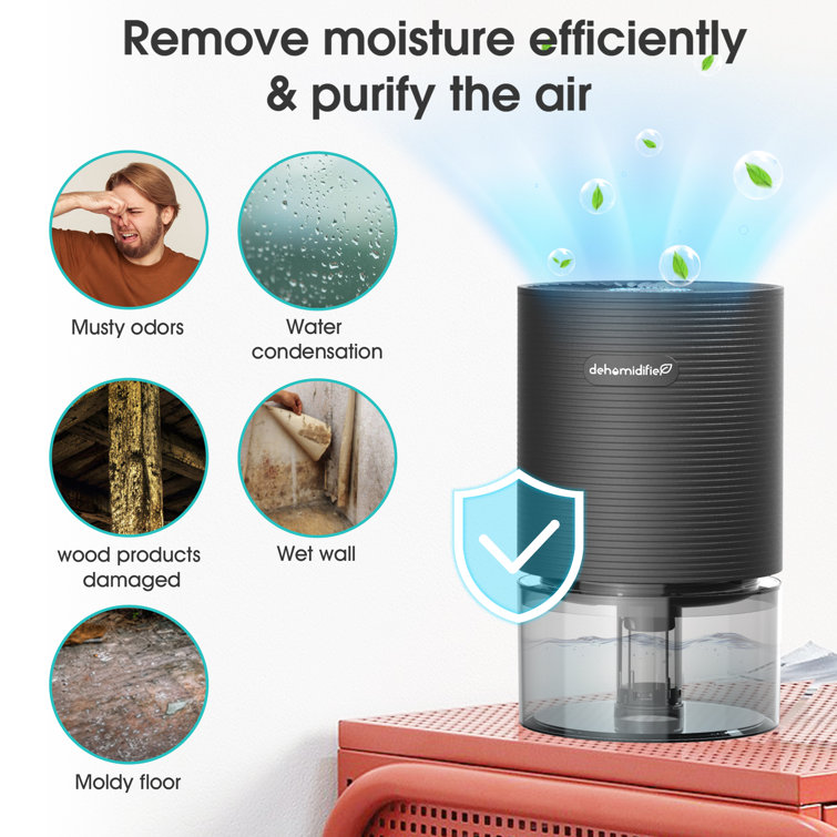 Silica Gel - Hydrosorbent® Dehumidifiers 40 Gram Rechargeable Cartridg –  Repkord.com