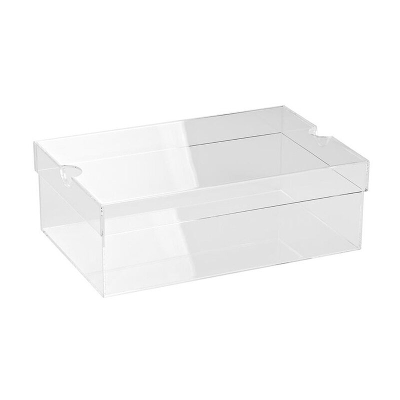 Rebrilliant Acrylic Shoe Box & Reviews | Wayfair