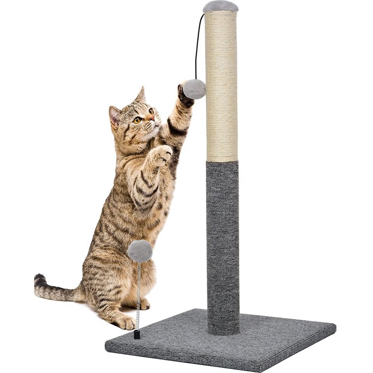 Tucker Murphy Pet™ Rek Scratching Post & Reviews - Wayfair Canada