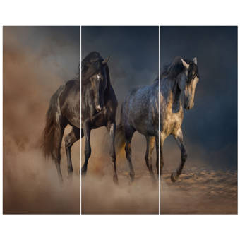 Designart Black Arabian Horse Portrait Photographic Print On Wrapped Canvas Wayfair